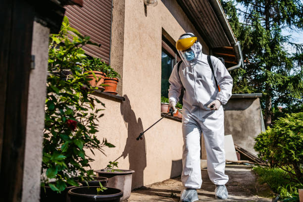 Best Wasp Removal Services  in Stockton University, NJ